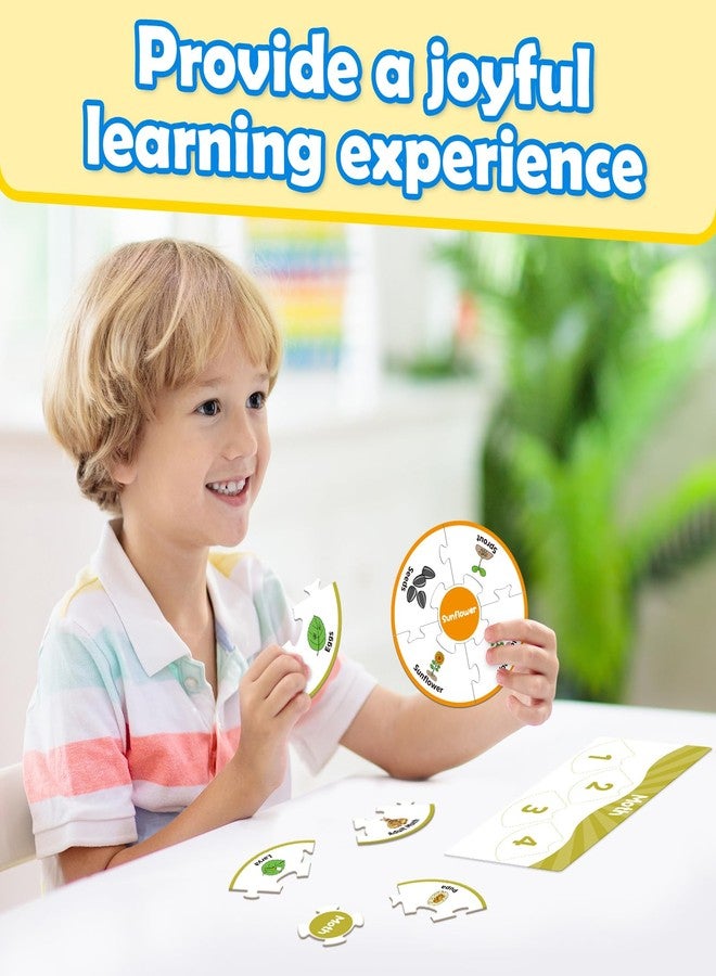Edulok Life Cycle Toys for Kids, Toddler Puzzles, Preschool Science Kits for Kids 3-5, Kindergarten Learning Activities, Learning Education Toys, PreK Classroom Essentials, Homeschool Supplies - Image 5